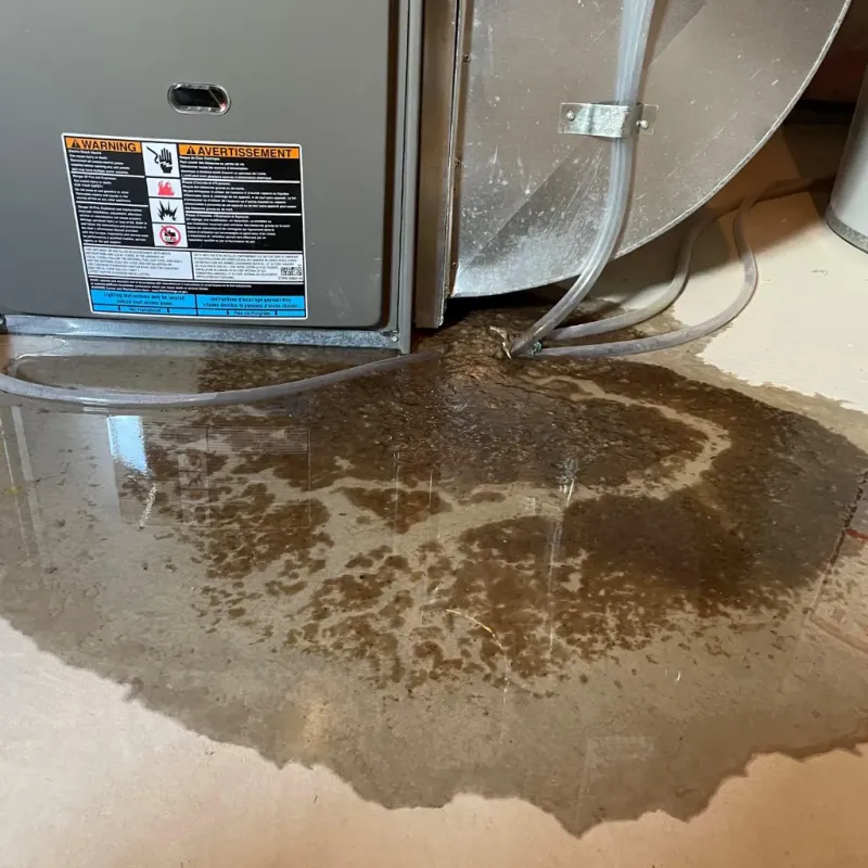 Appliance Leak Cleanup in Noyack, NY