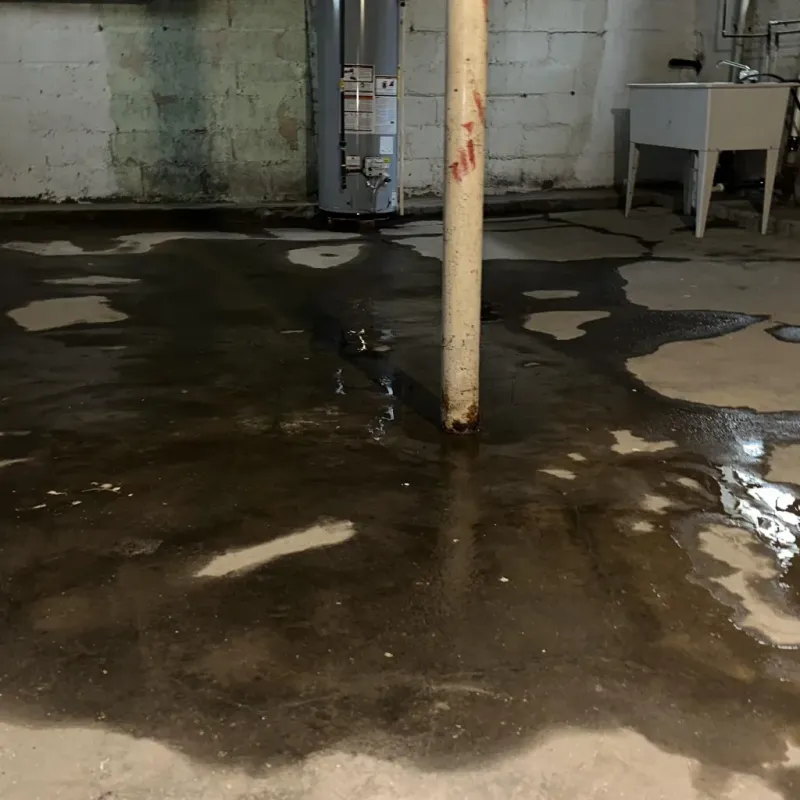Emergency Water Extraction And Removal in Noyack, NY